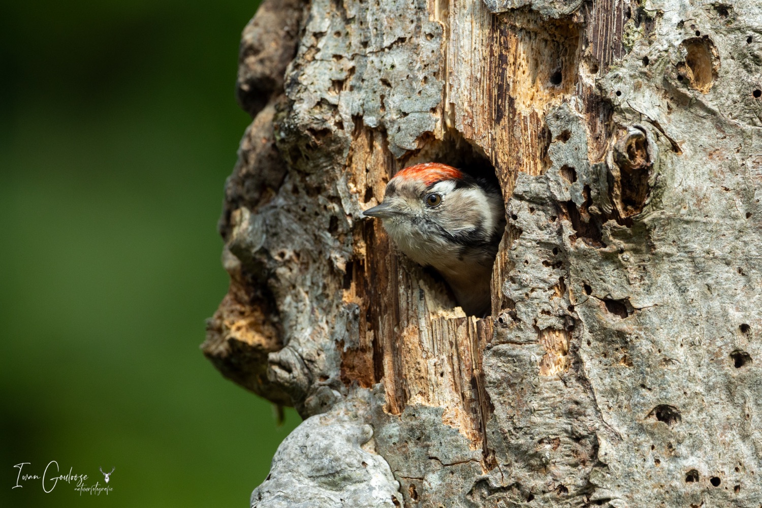 13 augustus 2023 120602  R2A6442